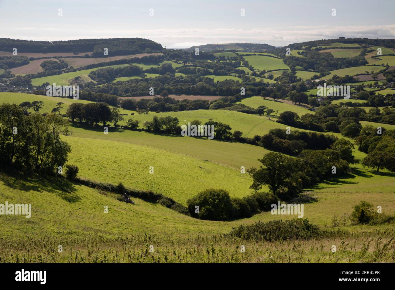 Vue sur la campagne du Dorset depuis près de Symondsbury, Bridport, Dorset, Angleterre, Royaume-Uni, Europe Banque D'Images
