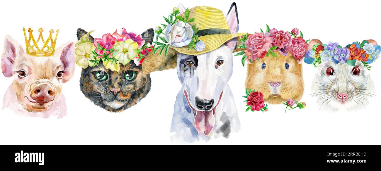 Bordure pour animaux de compagnie. Dessin aquarelle peint à la main, isoler clip art sur fond blanc. Conception de bannière Banque D'Images