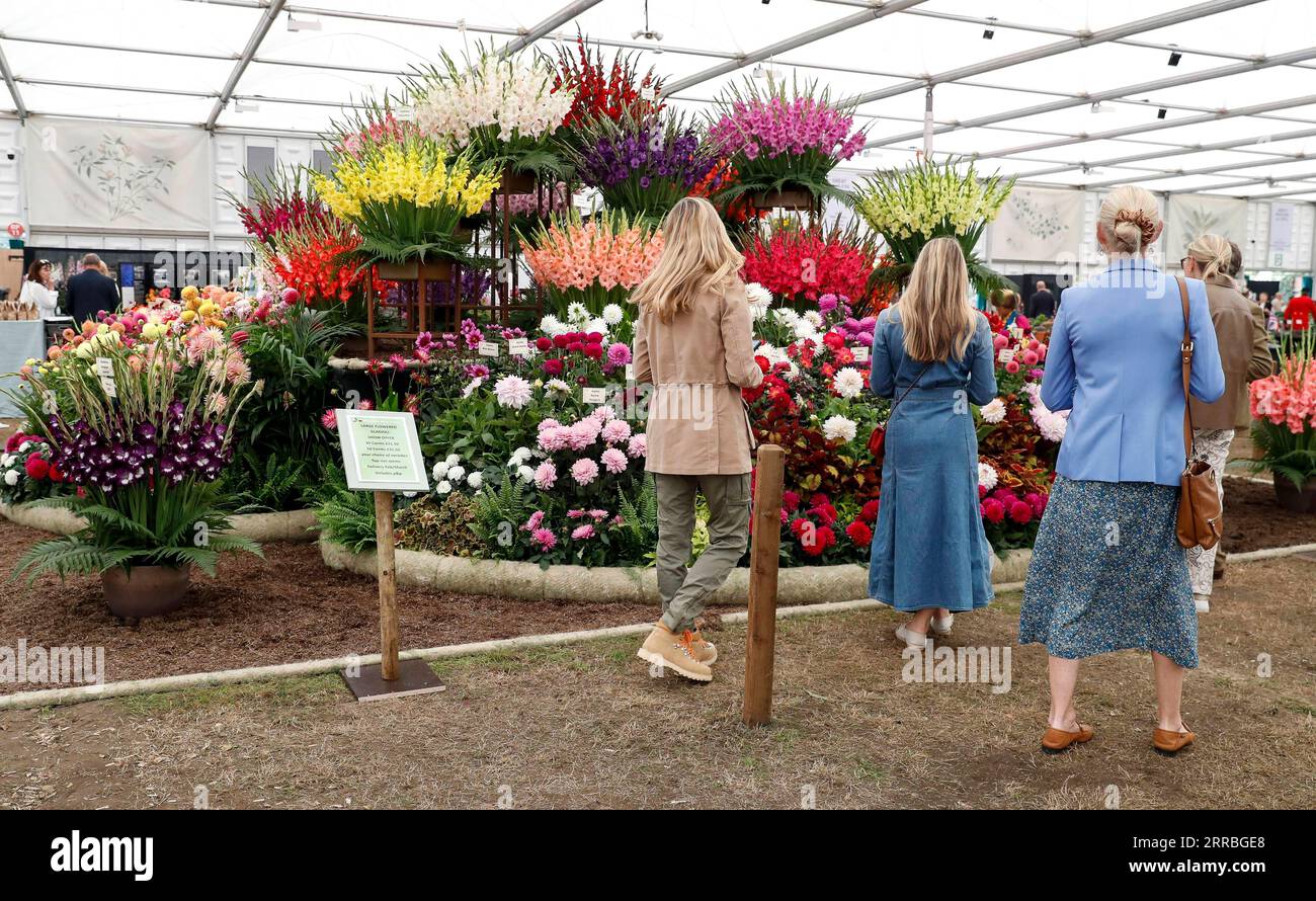 210921 -- LONDRES, le 21 septembre 2021 -- des gens assistent à la journée de presse du Chelsea Flower Show de la RHS Royal Horticultural Society à Londres, en Grande-Bretagne, le 20 septembre 2021. Le RHS Chelsea Flower Show annuel sera ouvert au public ici du 21 au 26 septembre. BRITAIN-LONDON-RHS CHELSEA SHOW FLORAL HANXYAN PUBLICATIONXNOTXINXCHN Banque D'Images