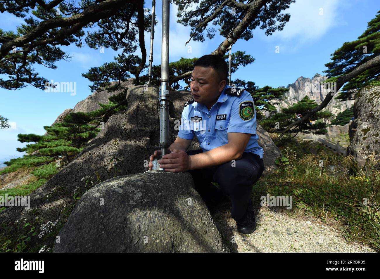 210927 -- HEFEI, 27 septembre 2021 -- Hu Xiaochun vérifie les poteaux de soutien du PIN de Greeting dans la région pittoresque de la montagne Huangshan dans la province d'Anhui de l'est de la Chine, le 26 septembre 2021. Huangshan Mountain, l'un des sites les plus célèbres de Chine, est un site du patrimoine mondial de l'UNESCO dans la province de l'Anhui de l'est de la Chine et un géoparc mondial. Welting Pine est un point de repère célèbre dans la montagne Huangshan. L'arbre, qui pousse hors des rochers avec une longue branche s'étendant au-dessus de l'embouchure d'une grotte, a obtenu le nom principalement parce qu'il semble saluer quiconque arrive sur les lieux. On pense qu'il se situe entre 800 et 50 Banque D'Images