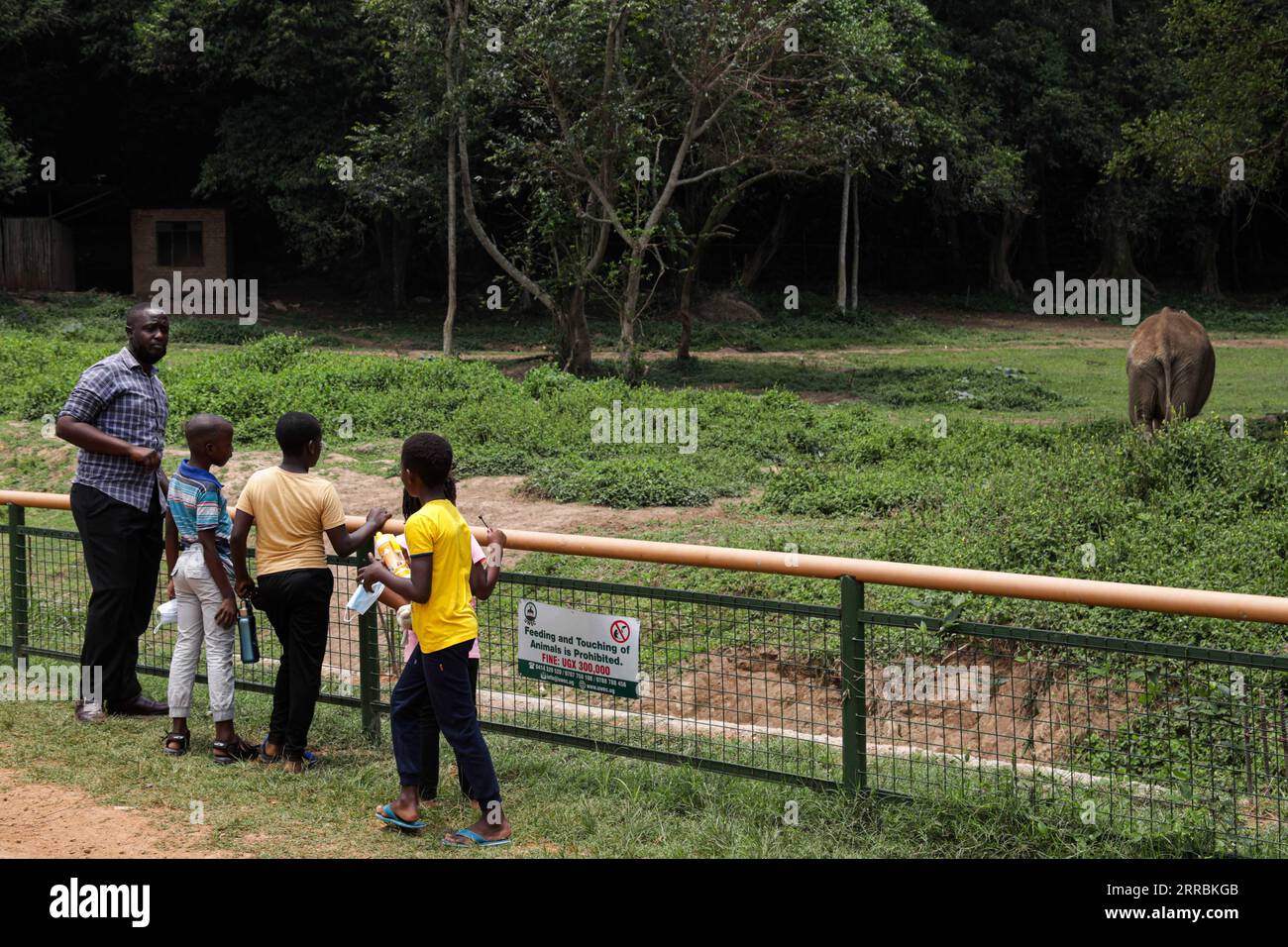 210928 -- ENTEBBE, 28 septembre 2021 -- des touristes regardent un éléphant au Centre ougandais d'éducation à la conservation de la faune sauvage à l'occasion de la Journée mondiale du tourisme à Entebbe, Ouganda, le 27 septembre 2021. Photo de /Xinhua UGANDA-ENTEBBE-WILDLIFE-WORLD TOURISM DAY HajarahxNalwadda PUBLICATIONxNOTxINxCHN Banque D'Images