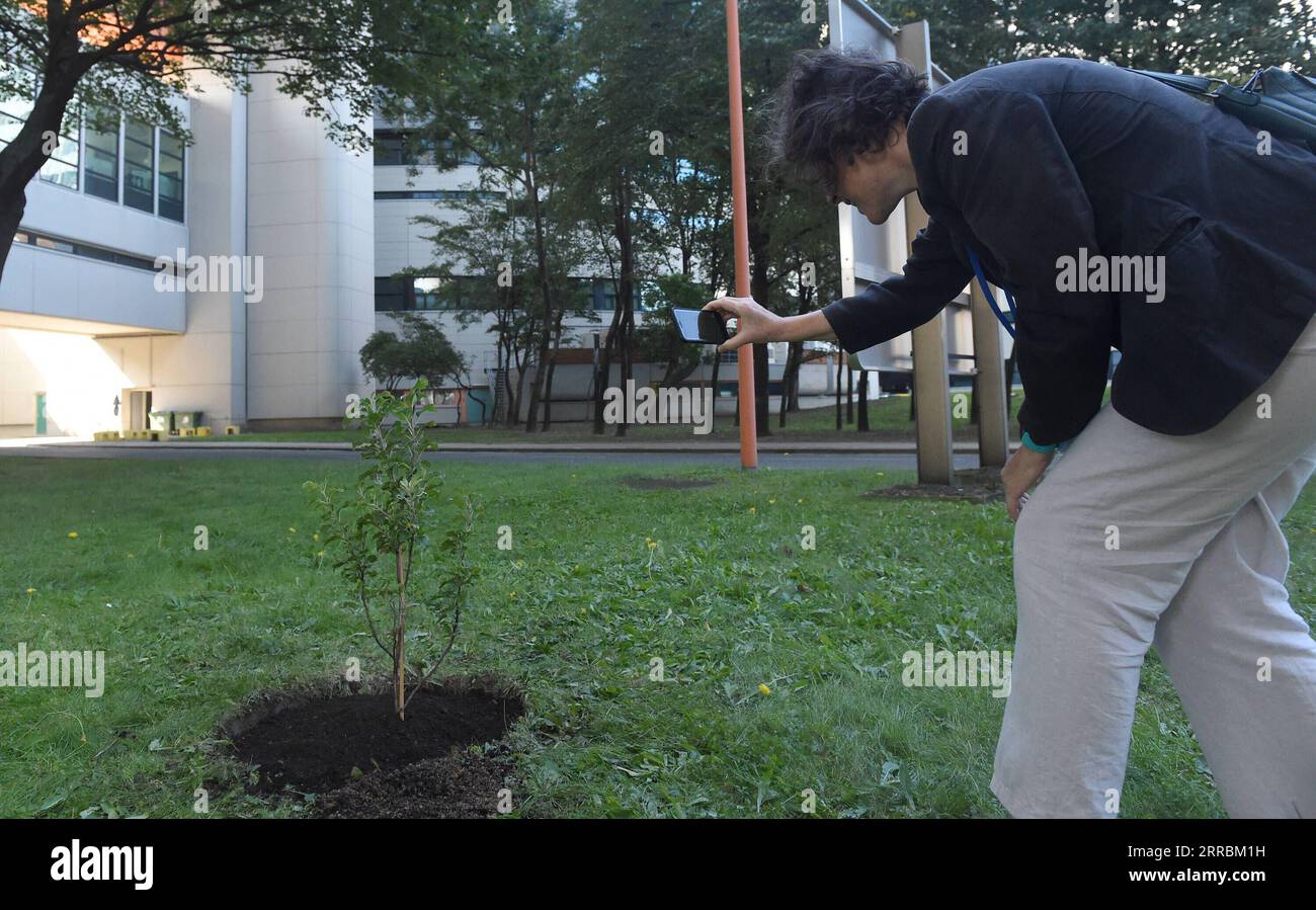 210928 -- VIENNE, le 28 septembre 2021 -- un membre du personnel prend une photo d'un arbre de l'espace au Centre international de Vienne à Vienne, Autriche, le 28 septembre 2021. Un pommier spécial cultivé à partir de graines qui ont été emportées dans l'espace, a été planté mardi dans le parc du Centre international de Vienne CIV pour inspirer les générations futures de scientifiques spatiaux. Le jeune pommier, qui mesure actuellement 80 cm de haut, est un descendant de l'arbre vieux de 400 ans, qui pousse encore au Woolsthorpe Manor au Royaume-Uni, qui a inspiré la théorie de la gravité d'Isaac Newton. AUTRICHE-VIENNE-ESPACE SAPLING-PLANTING GUOXCHE Banque D'Images