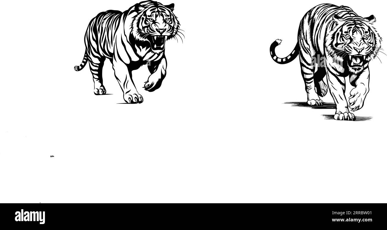 Ensemble de croquis dessinés à la main animaux style isolé sur fond blanc. Vector illustration. Illustration de Vecteur