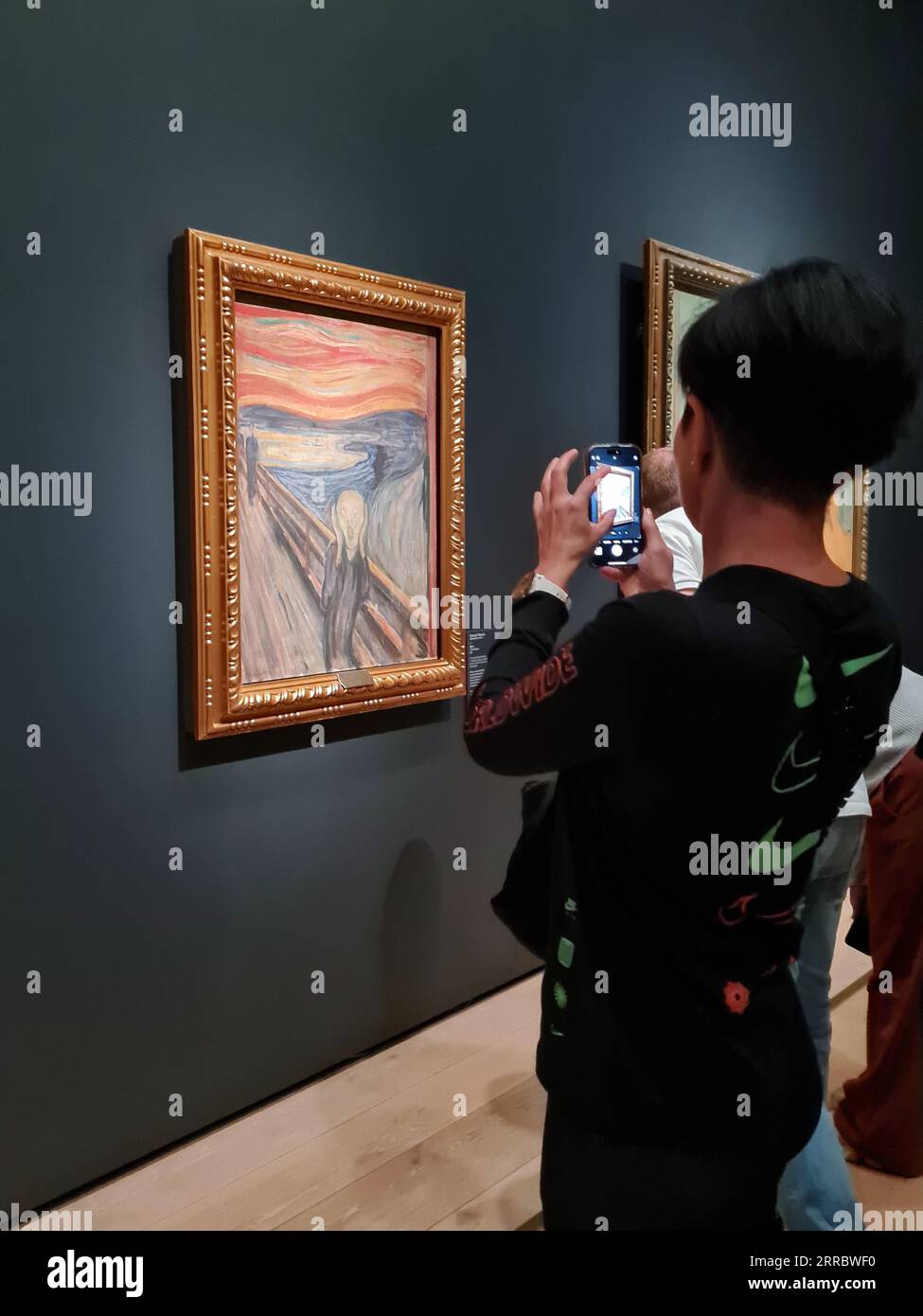 Oslo, Norvège, 15 juillet 2023 : un touriste observe la célèbre composition d'Edvard Munch, le cri Banque D'Images
