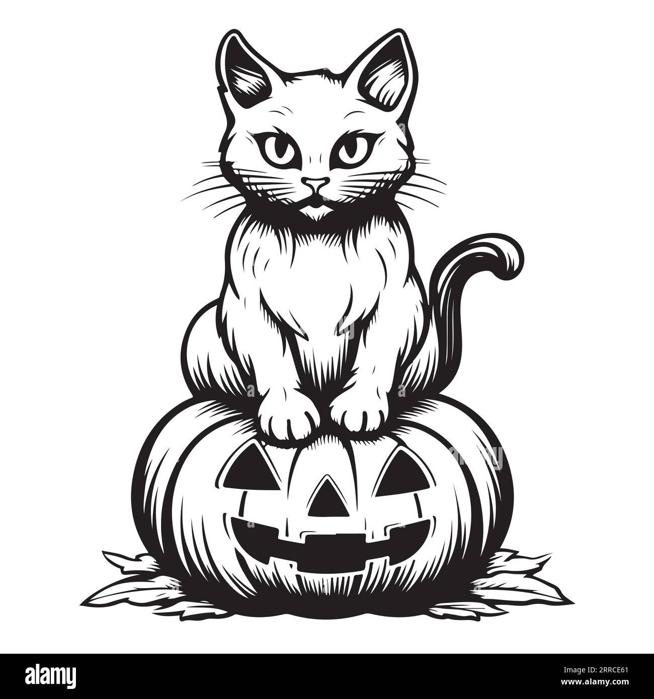 chat avec dessin dessiné à la main de citrouille Halloween Vector Illustration de Vecteur