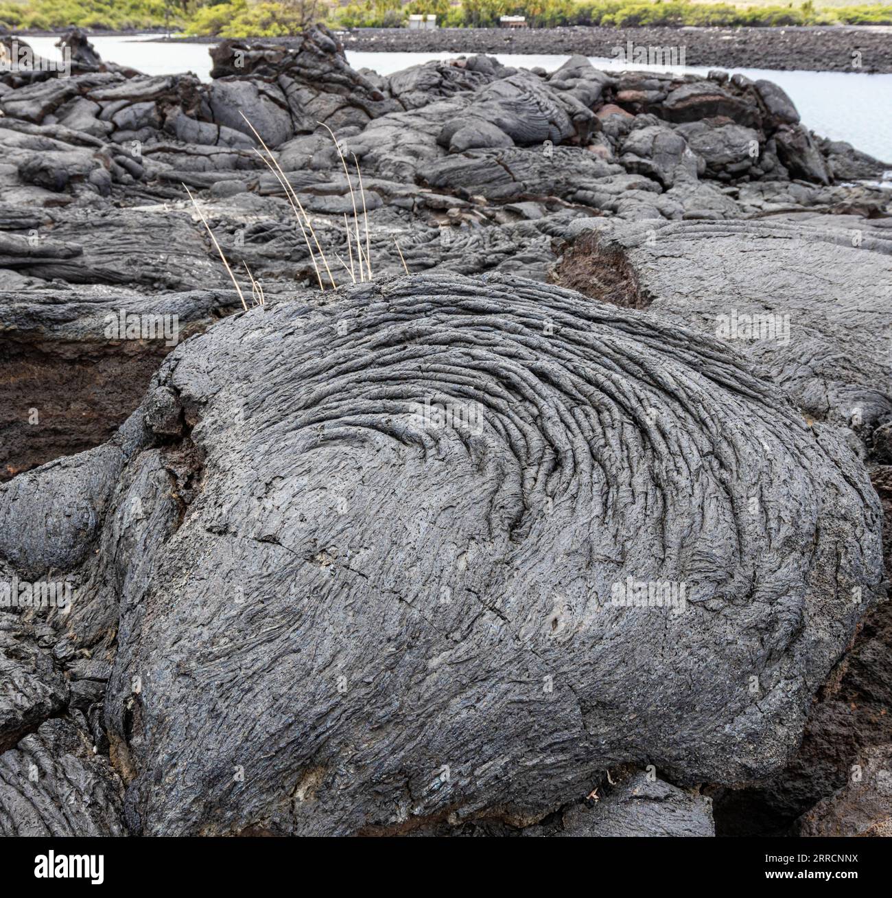 Motifs tourbillonnants dans l'ancienne coulée de lave sur la rive de la lagune de Wainanalii, Kiholo Bay, Hawaii Island, Hawaii, USA Banque D'Images