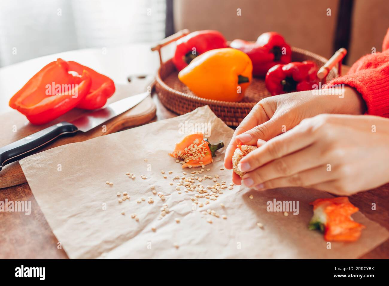 Collecte de graines de poivrons doux à la maison. Femme cueille des graines de légumes biologiques mûrs pour cultiver des aliments sains. Propagation Banque D'Images