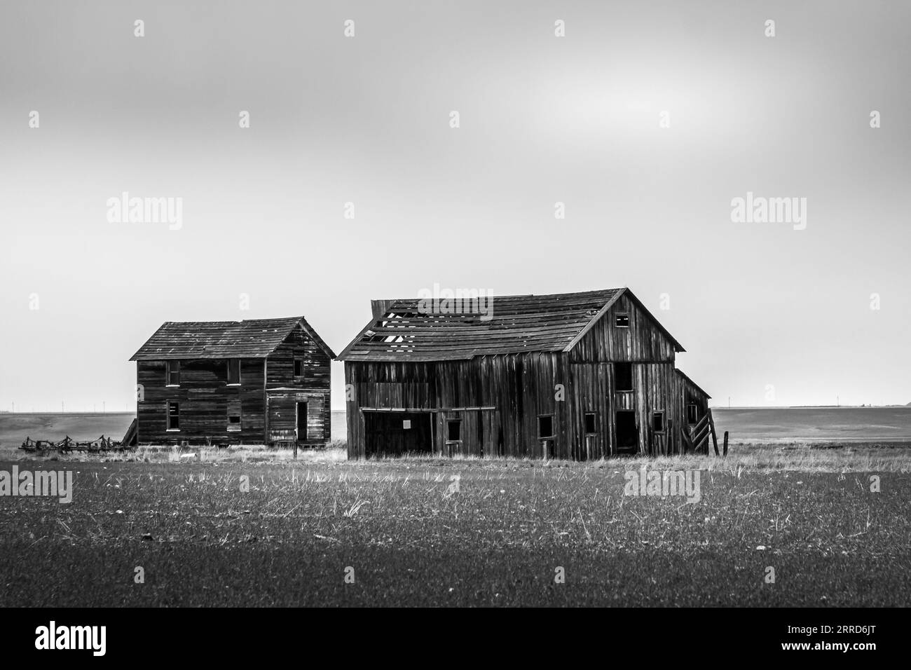 Old Barns dans un champ dans le Montana Banque D'Images
