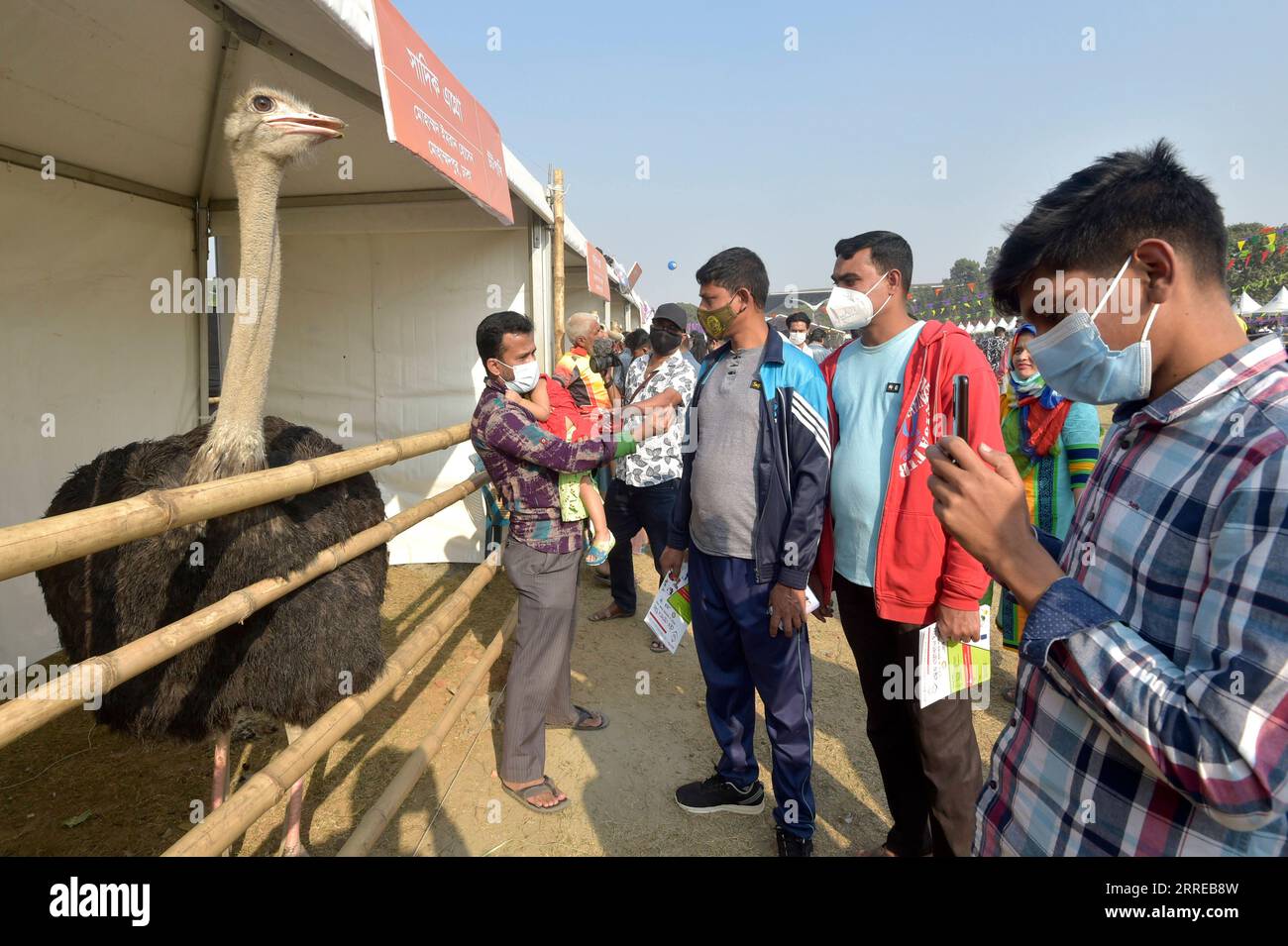 220217 -- DHAKA, 17 février 2022 -- les gens regardent une autruche lors d'une foire du bétail à Dhaka, capitale du Bangladesh, le 16 février 2022. Une foire du bétail a lieu mercredi à Dhaka pour que les gens exposent leur bétail et leurs oiseaux exotiques. BANGLADESH-DHAKA-BÉTAIL-FOIRE Salim PUBLICATIONxNOTxINxCHN Banque D'Images
