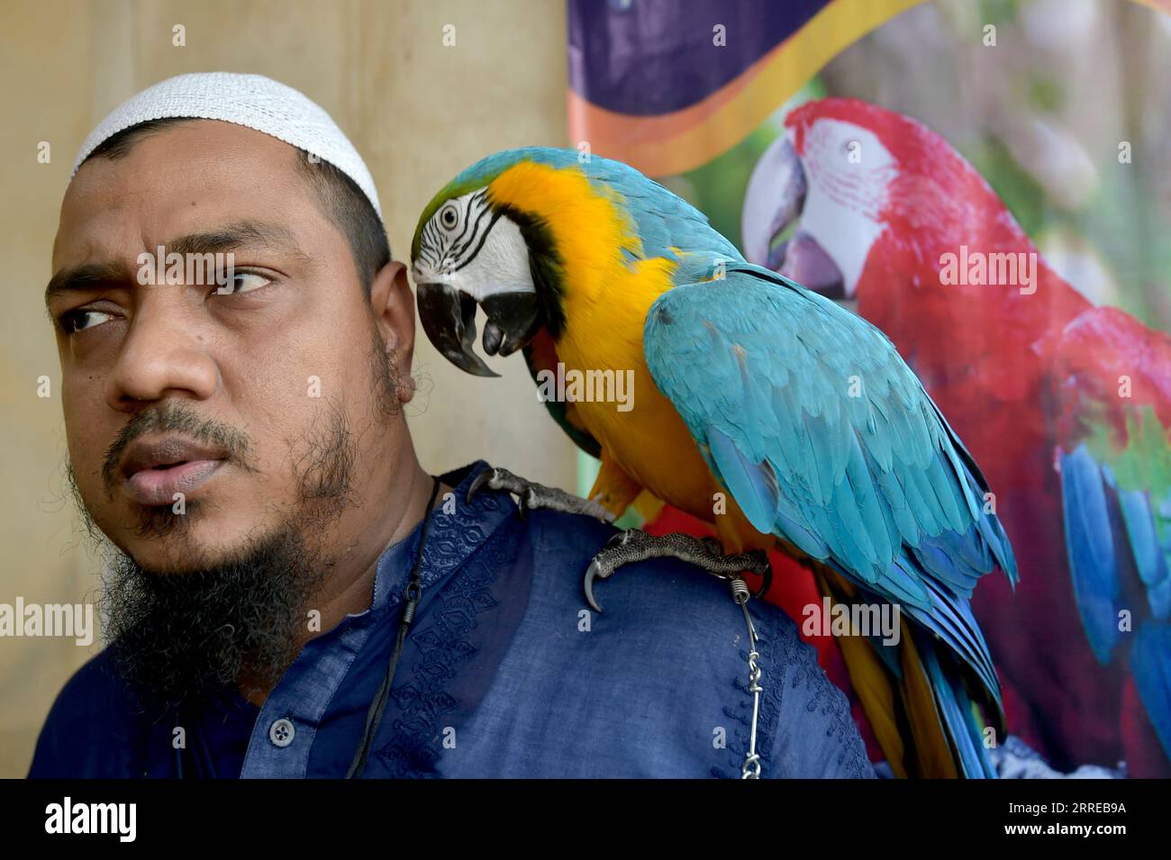 220217 -- DHAKA, le 17 février 2022 -- Un homme pose pour une photo avec son perroquet lors d'une foire du bétail à Dhaka, capitale du Bangladesh, le 16 février 2022. Une foire du bétail a lieu mercredi à Dhaka pour que les gens exposent leur bétail et leurs oiseaux exotiques. BANGLADESH-DHAKA-BÉTAIL-FOIRE Salim PUBLICATIONxNOTxINxCHN Banque D'Images