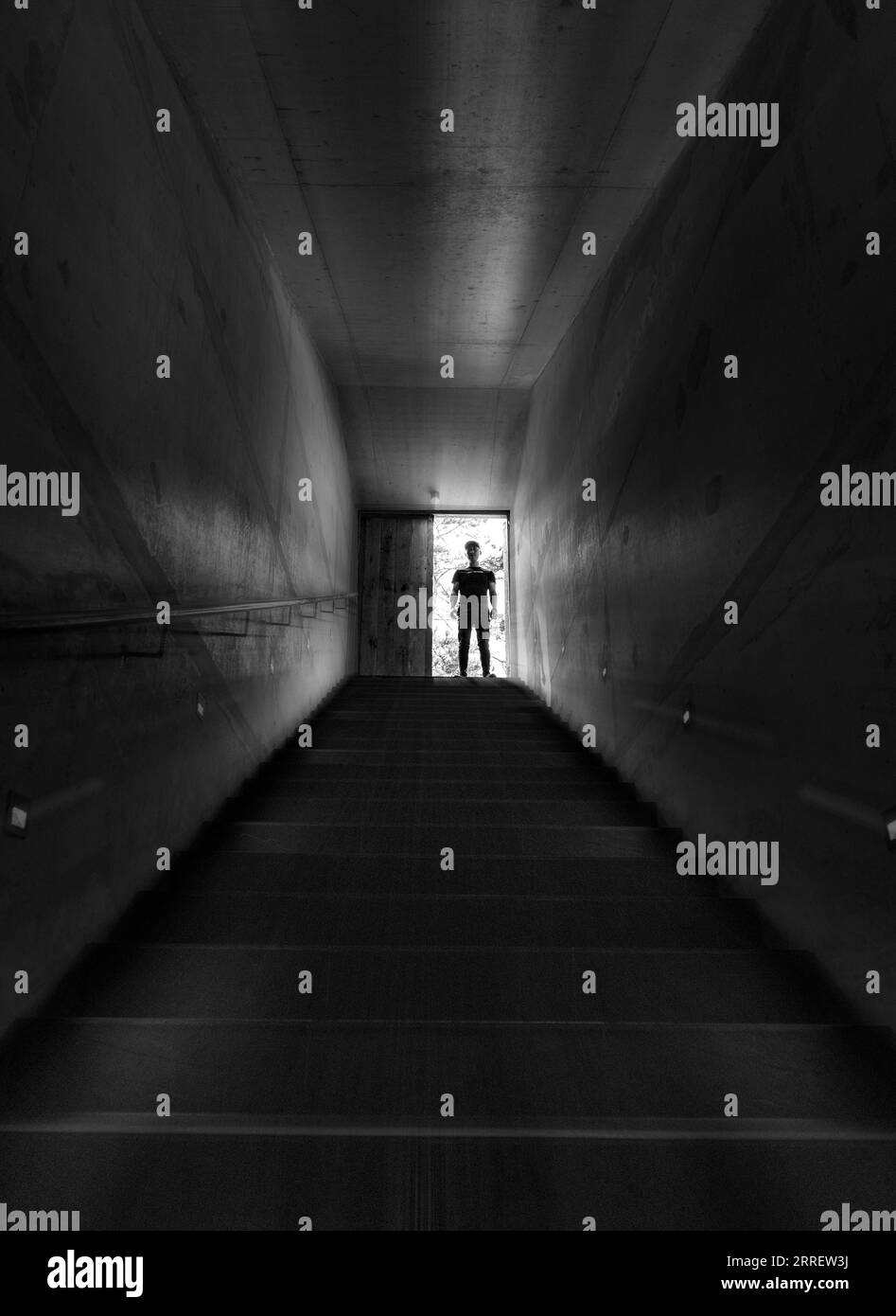 Belle photo Banque D'Images