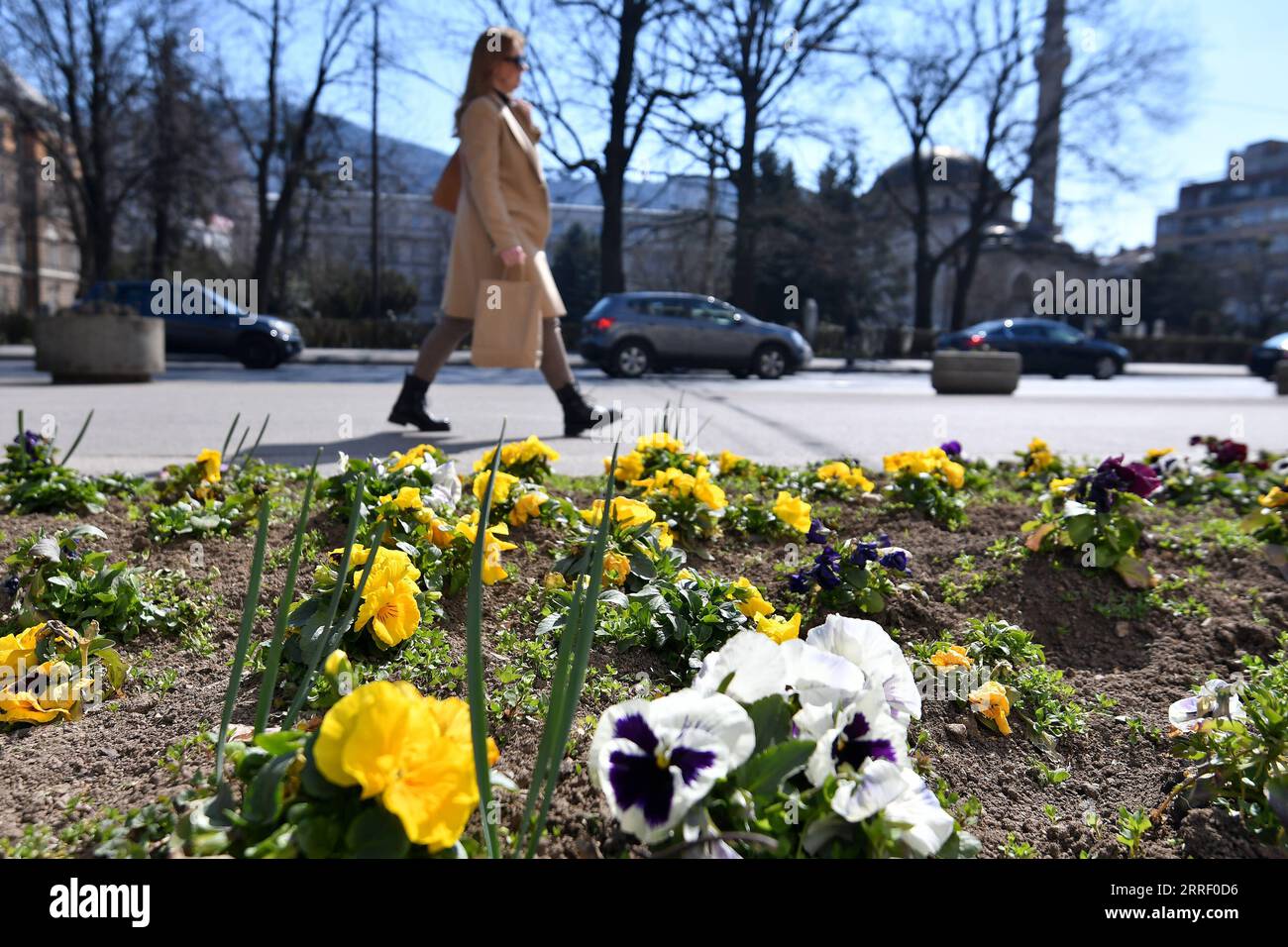 220322 -- SARAJEVO, le 22 mars 2022 -- Une femme passe devant des fleurs à Sarajevo, en Bosnie-Herzégovine, le 21 mars 2022. Photo de /Xinhua BOSNIA AND HERZEGOVINA-SARAJEVO-SPRING NedimxGrabovica PUBLICATIONxNOTxINxCHN Banque D'Images