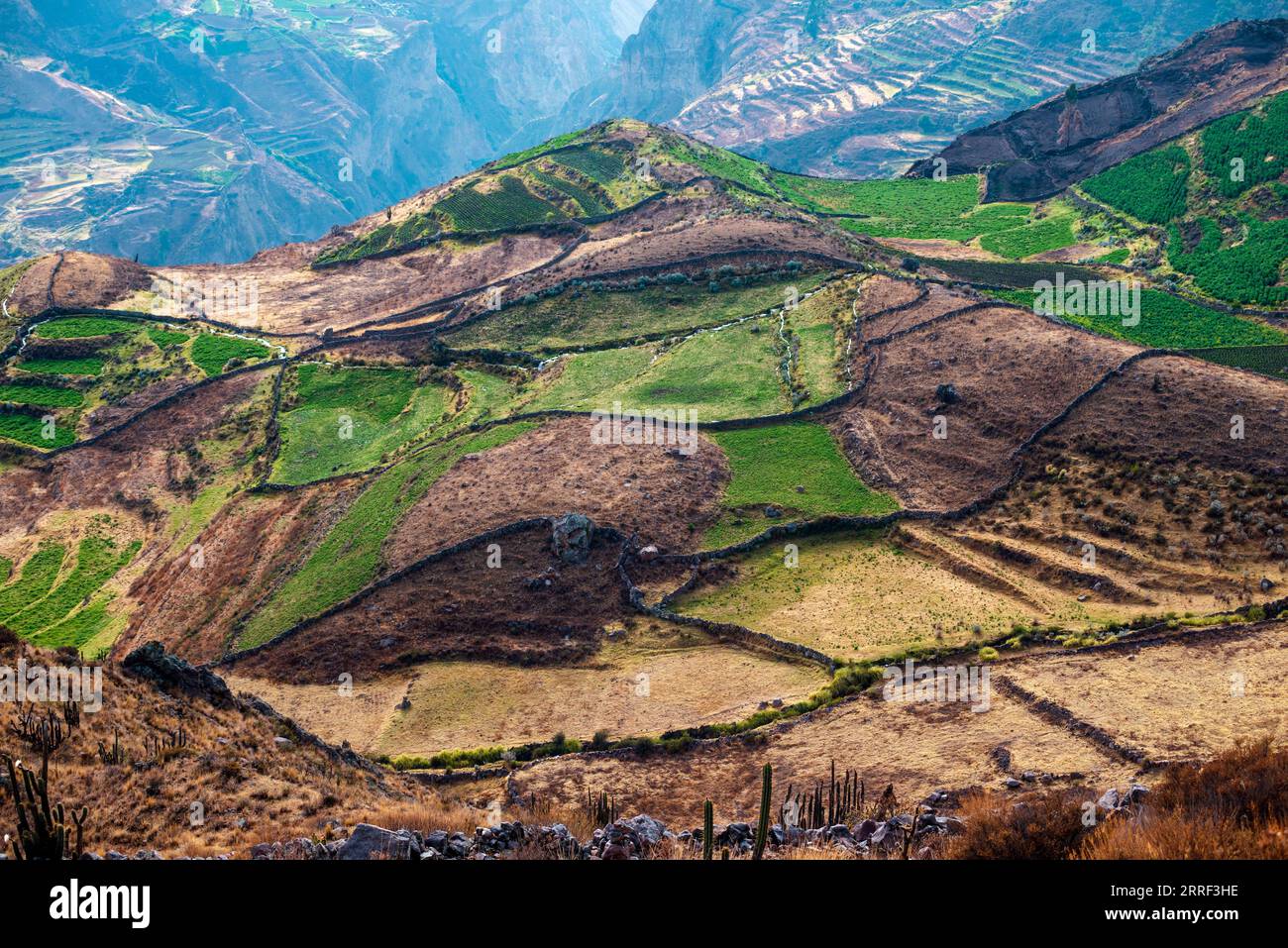 Pente de montagne avec de nombreux champs en terrasses le matin au Pérou Banque D'Images