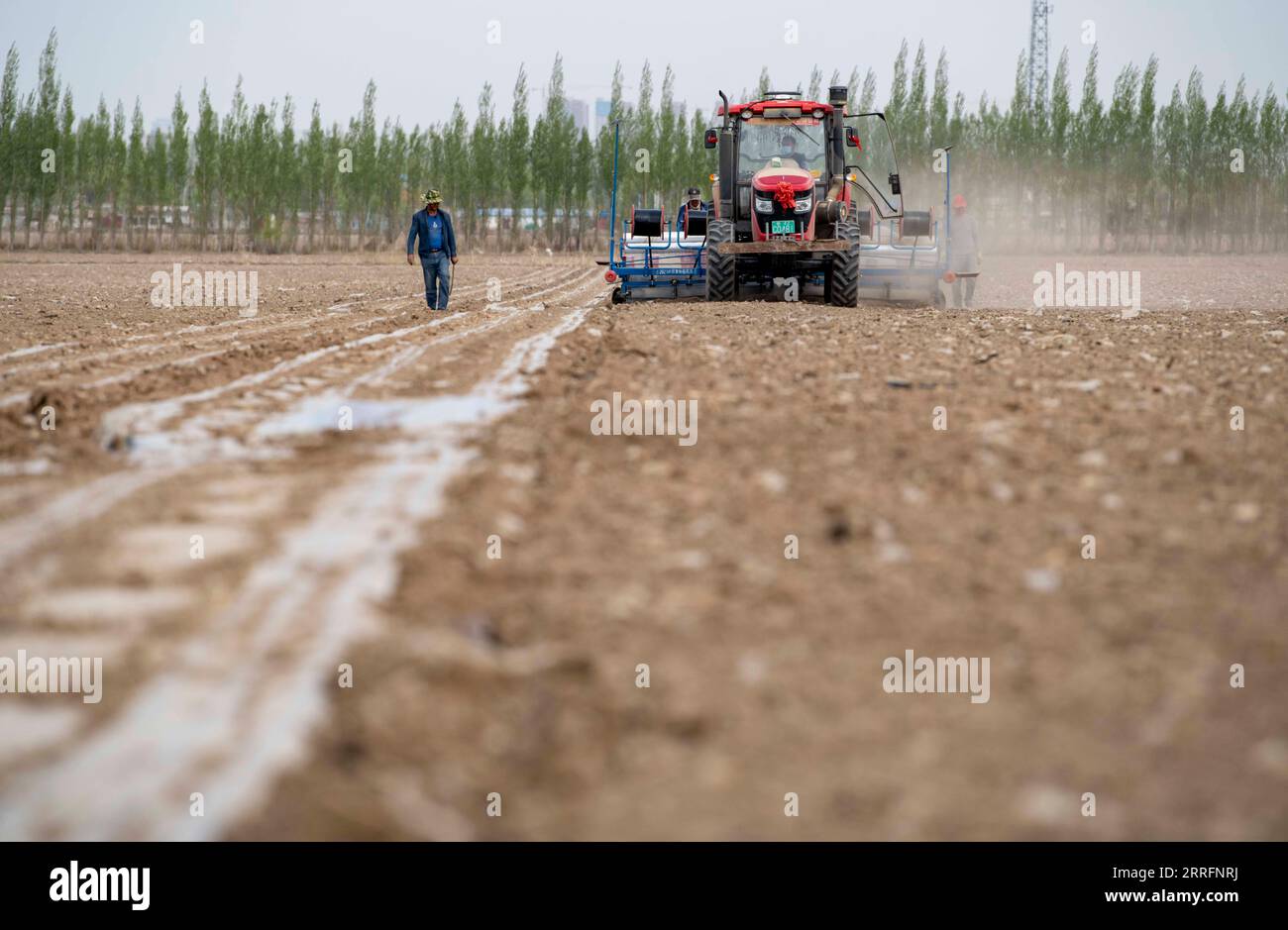 220422 -- SHAWAN, le 22 avril 2022 -- Ili Mehmet regarde des ouvriers exploiter un semoir dans son champ de coton à Shawan, dans la région autonome ouïgoure du Xinjiang du nord-ouest de la Chine, le 19 avril 2022. Ili Mehmet, 50 ans, vit à Shawan, une importante région productrice de coton du Xinjiang. Pendant la saison des semailles au printemps, les travaux agricoles ont été effectués principalement par des équipes de plantation mécanisées embauchées. Mais Ili Mehmet passe encore son temps libre dans les 700 mu, environ 46,7 hectares de champs de coton qu’il a contractés avec son partenaire commercial Duan Zhizhong, apprenant de nouvelles techniques de plantation auprès d’autres. En plus de travailler dans les champs de coton, lui Banque D'Images