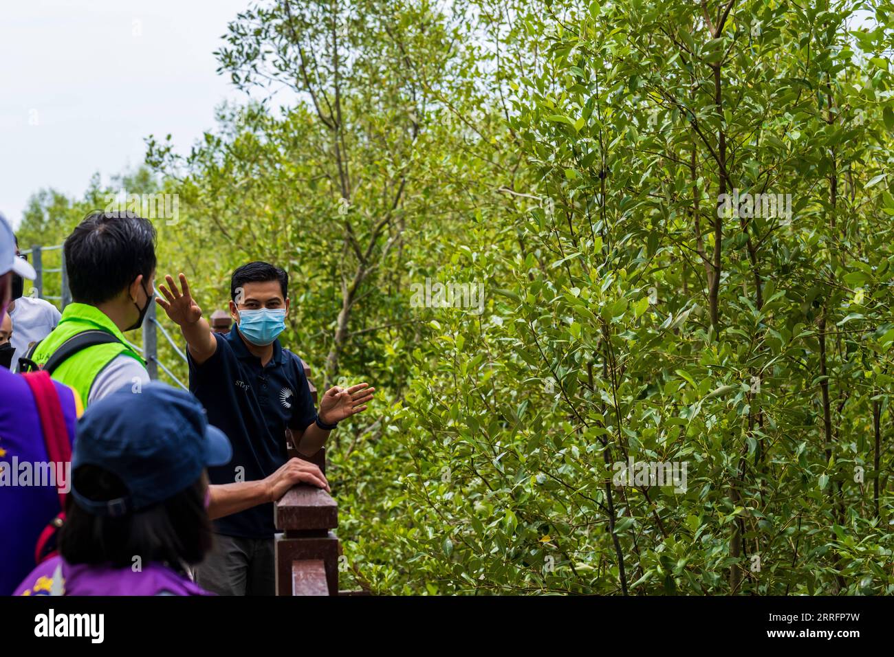 220423 -- JOHOR BAHRU, le 23 avril 2022 -- Andik Idris Munabak Bin Andik Burhanudin R, assistant animalier au parc national Tanjung Piai Johor, présente les mangroves aux visiteurs du parc de l'État de Johor, Malaisie, le 19 avril 2022. POUR ALLER AVEC caractéristique : conservation de la mangrove, une mission pour sauver la terre MALAISIE-JOHOR-MANGROVE ZhuxWei PUBLICATIONxNOTxINxCHN Banque D'Images