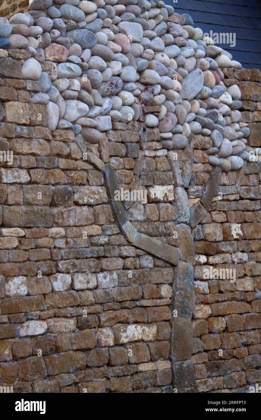 Stone Tree moulé dans le crochet de mur de pierre Norton Cotswolds Oxfordshire Angleterre royaume-uni Banque D'Images