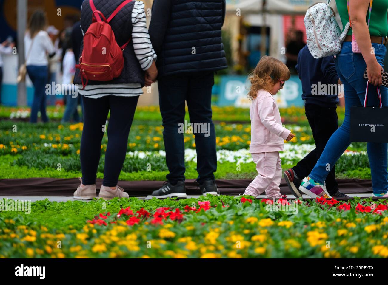 220430 -- LA VALETTE, le 30 avril 2022 -- les gens visitent St. George s Square avec exposition fleurie à la Valette, capitale de Malte, le 30 avril 2022. La neuvième édition du Festival vert de la Valette a lieu du 28 avril au 1 mai avec pour thème cette année les habitats naturels. Photo de /Xinhua MALTA-VALLETTA-GREEN FESTIVAL JonathanxBorg PUBLICATIONxNOTxINxCHN Banque D'Images