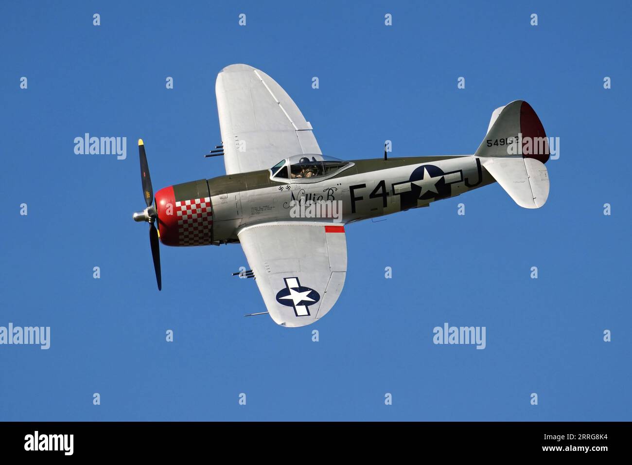 Republic P-47D Thunderbolt 45-49192 Nellie B présente au Cosby Victory Show 2023 Banque D'Images