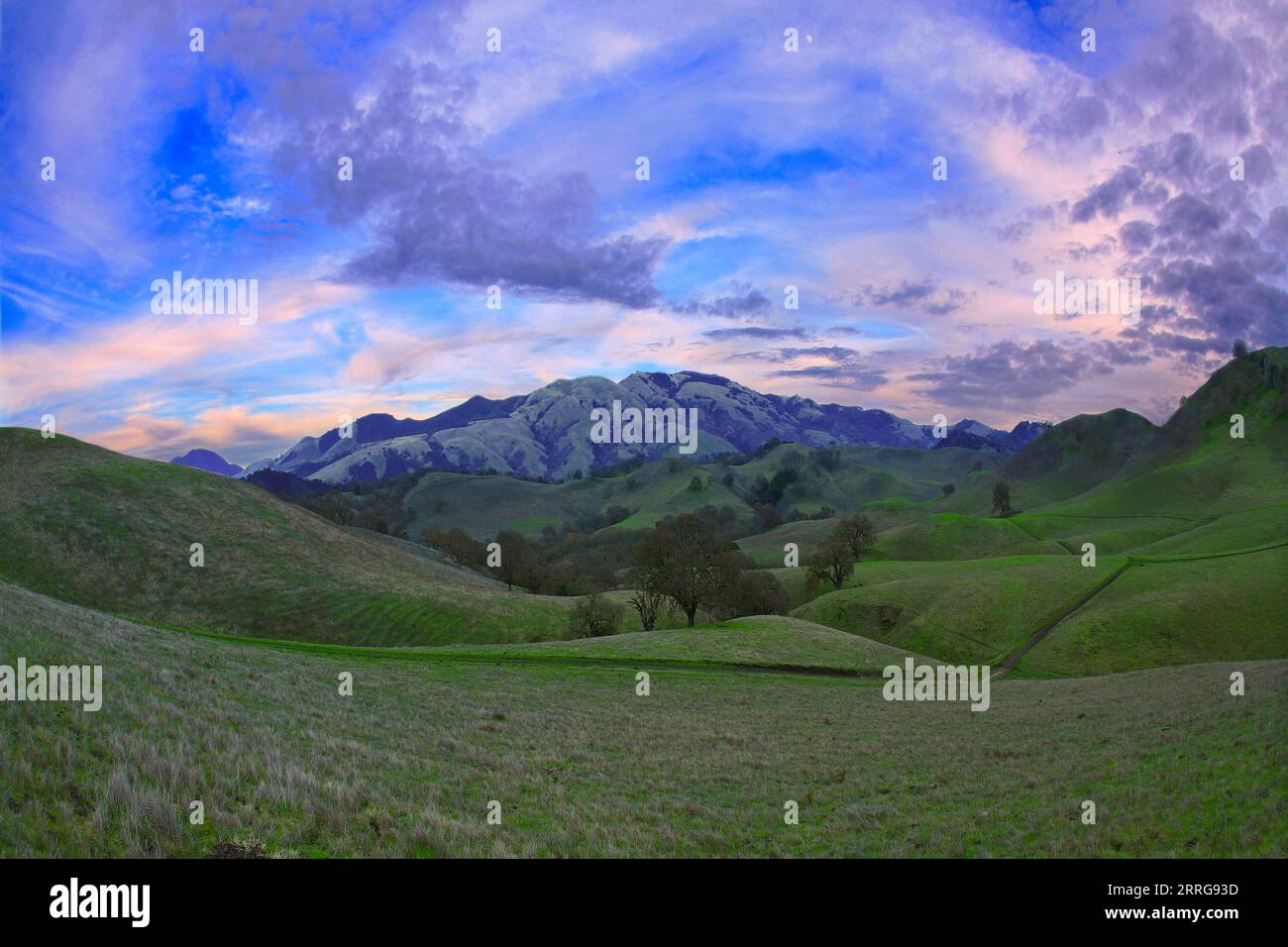 Mount Diablo est situé dans la région de la baie de San Francisco au nord-est de Danville dans le parc d'État de Mount Diablo, en Californie, aux États-Unis Banque D'Images