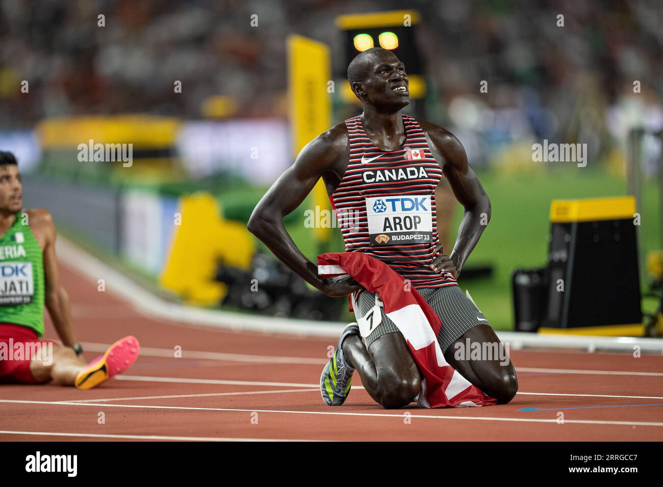 Marco AROP Célèbre Sa Médaille D'or Avec Le Drapeau De Son Pays Au 800 ...