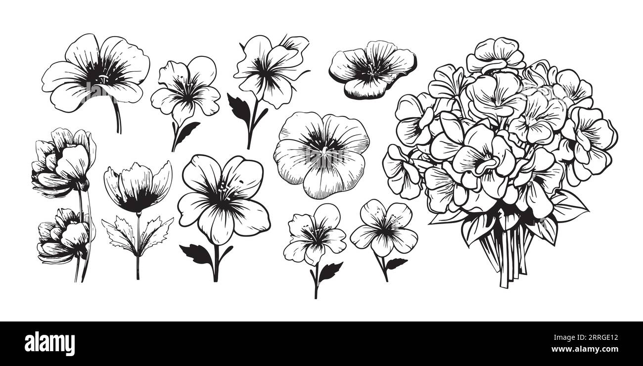 Fleur violette ensemble esquisse dessin à la main Vector Garden fleurs Illustration de Vecteur