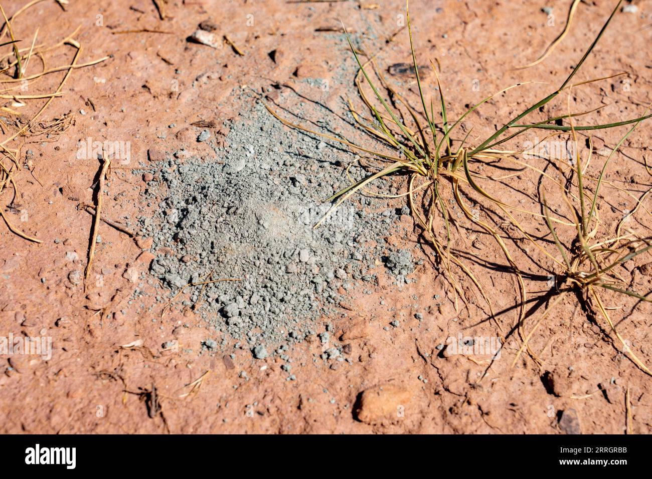 Minerai d'uranium provenant de la mine abandonnée mi Vida dans Steen Canyon près de la Sal, Utah. Site de la première grosse frappe d'uranium aux États-Unis Banque D'Images