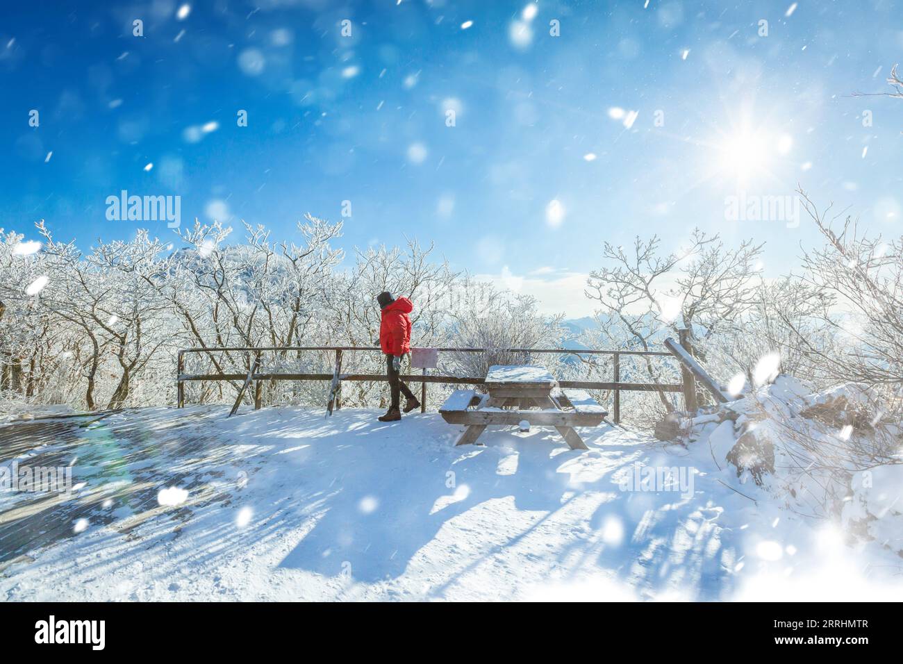 Au sommet des montagnes enneigées de Deogyusan par temps clair et la neige soufflée par le vent en hiver, Corée du Sud. Banque D'Images