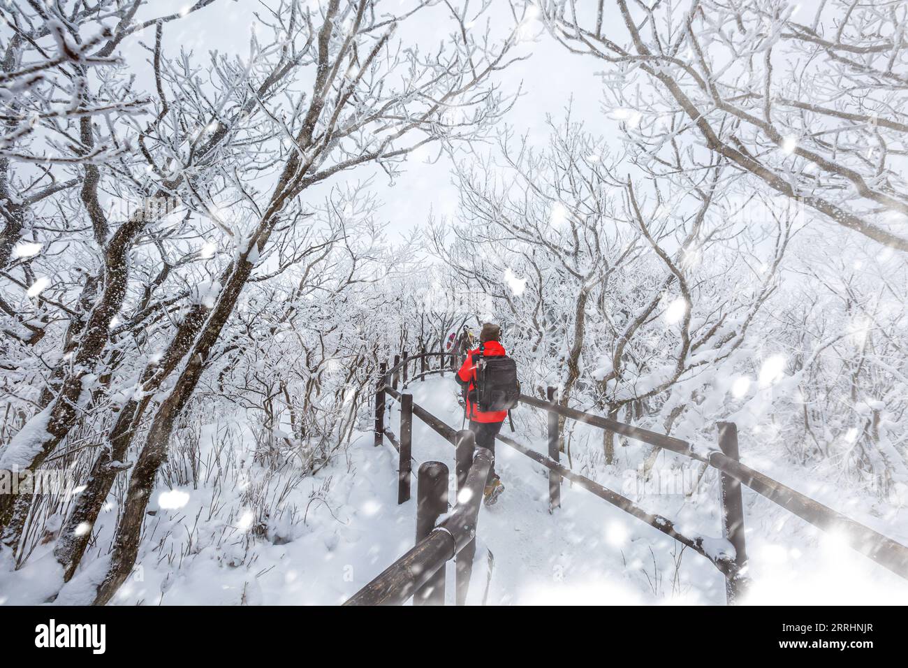 Touristes au sommet de la montagne Deogyusan au parc national de Deogyusan par une journée enneigée près de Muju, Corée du Sud Banque D'Images