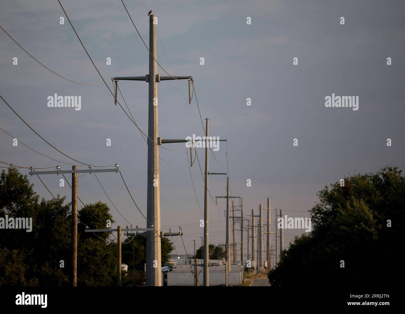 220713 -- HOUSTON, 13 juillet 2022 -- une photo prise le 11 juillet 2022 montre des lignes de transport d'électricité le long d'une route au Texas, aux États-Unis. Le Conseil de fiabilité électrique du Texas ERCOT lundi a demandé aux résidents et aux entreprises de réduire leur consommation d'énergie car l'indice de chaleur dépassait 100 degrés Fahrenheit dans environ la moitié du centre-sud de l'État des États-Unis. Cette vague de chaleur a commencé il y a plus d'une semaine et continue de se développer, défiant le réseau électrique de l'État. Les températures presque records dans une grande partie du Texas ont forcé divers événements extérieurs à être retardés ou annulés pour des raisons de sécurité. Photo par Banque D'Images