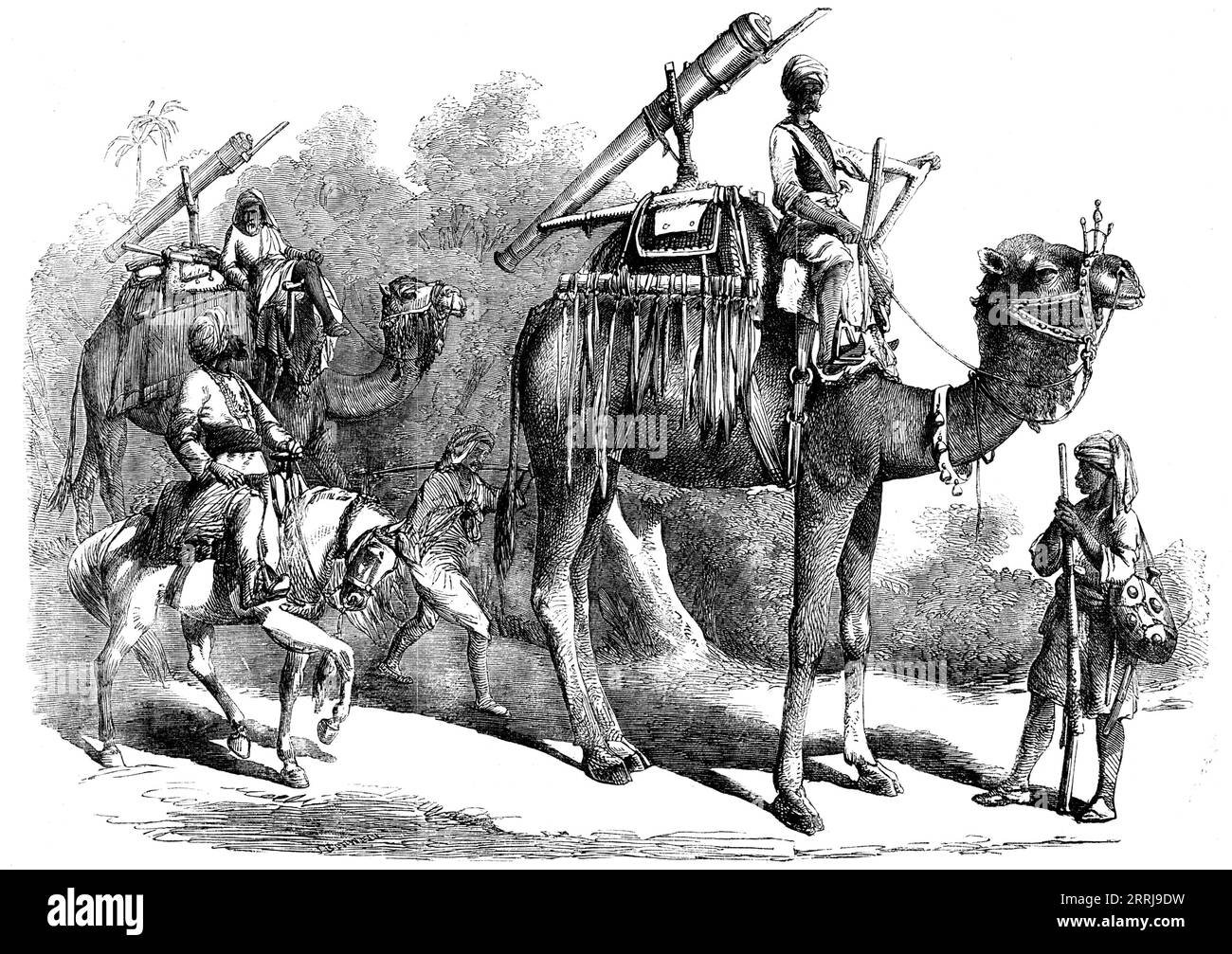 Camel Jingalls, 1858. Petit canon en laiton, monté sur des chameaux '... ont été longtemps utilisés dans les armées indigènes de l'Inde... bien que presque inutile lorsqu'il est opposé aux moyens et aux appareils de la guerre moderne, [ils] possèdent l'avantage d'un transport facile à travers le pays... le chameau étant capable de porter son fardeau à travers les nullahs et sur des portions de route arrachées par des torrents de montagne pendant la saison des pluies... le cavalier, qui est aussi l'artilleur, travaille le pistolet de son siège sur l'épaule du venu... la gestion du chameau...[est laissé] au benkendauze à pied, qui tourne l'animal autour comme oppo Banque D'Images