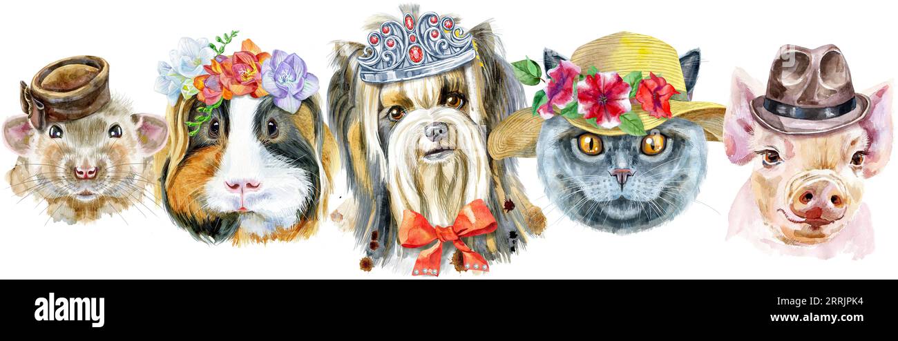 Bordure pour animaux de compagnie. Dessin aquarelle peint à la main, isoler clip art sur fond blanc. Conception de bannière Banque D'Images