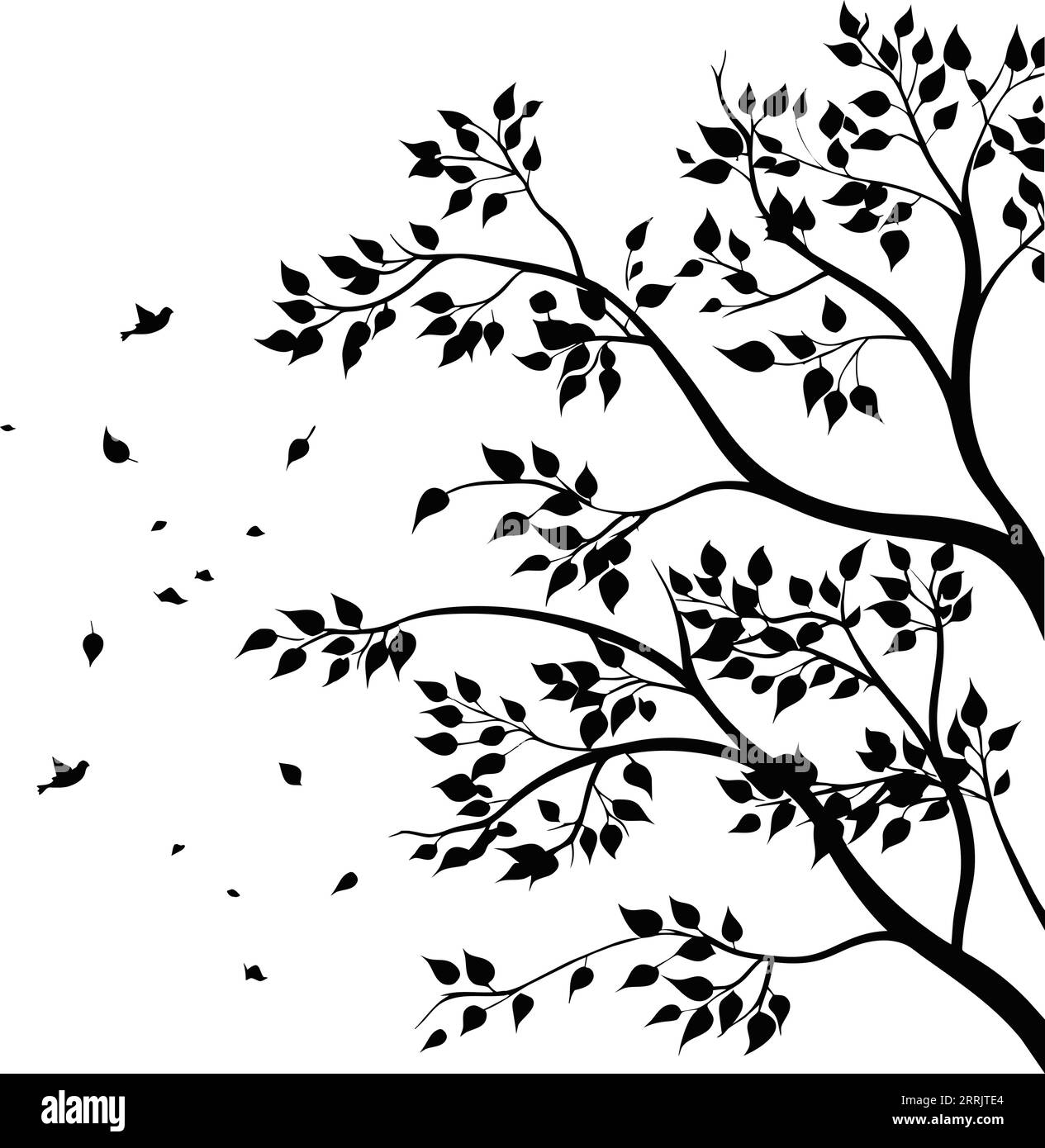 Illustration vectorielle d'une branche d'arbre isolée et réaliste avec des feuilles et deux oiseaux, en couleur noire, sur fond blanc. Autocollant mural. Illustration de Vecteur