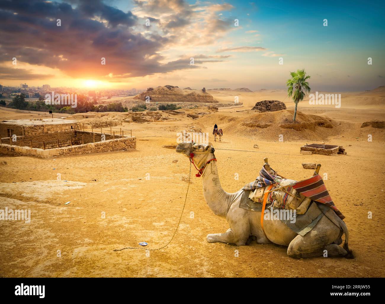 Désert de sable en Égypte au coucher du soleil et à Gizeh Banque D'Images