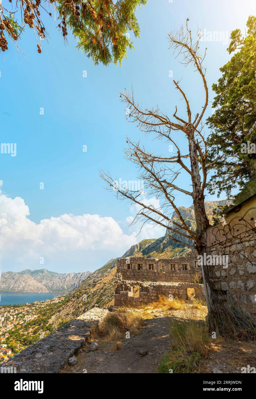 Kotor Bay en été, vue d'en haut. Monténégro Banque D'Images