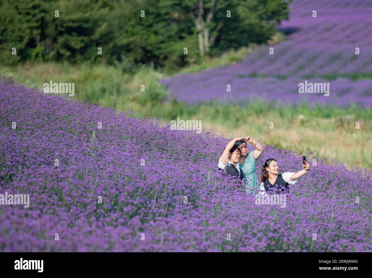 220811 -- CHONGQING, 11 août 2022 -- les touristes prennent des selfies dans la région pittoresque de Hongchiba dans le comté de Wuxi, au sud-ouest de la Chine, Chongqing, 10 août 2022. Basé sur ses abondantes ressources naturelles et ses paysages pittoresques, le comté de Wuxi a intensifié ses efforts pour stimuler le tourisme local. CHINE-CHONGQING-TOURISME CN HuangxWei PUBLICATIONxNOTxINxCHN Banque D'Images