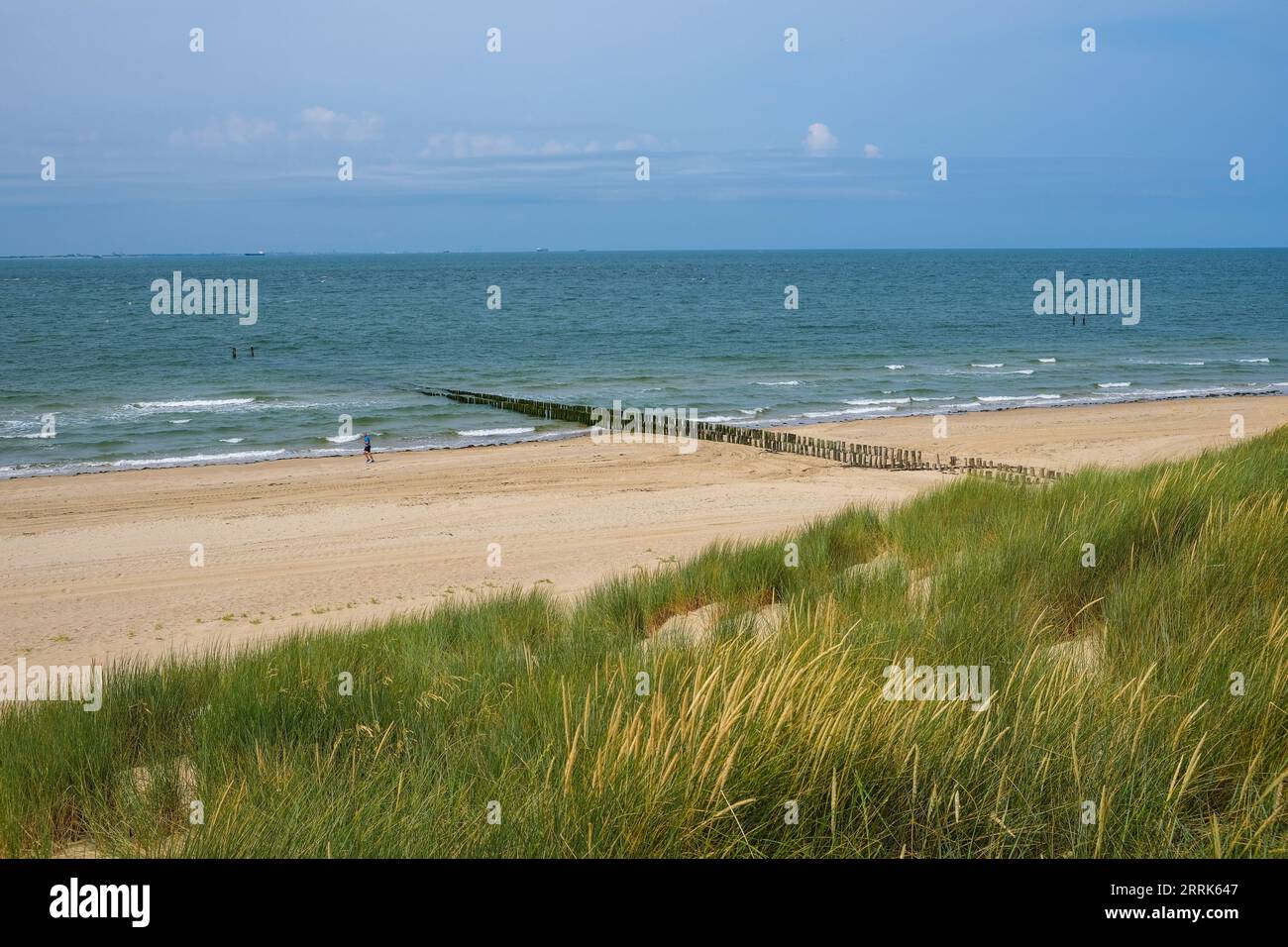 Vlissingen, Zélande, pays-Bas - plage de sable, paysage de dunes, mer du Nord, ville portuaire sur la côte sud de la péninsule de Walcheren dans la province néerlandaise de Zélande. Banque D'Images