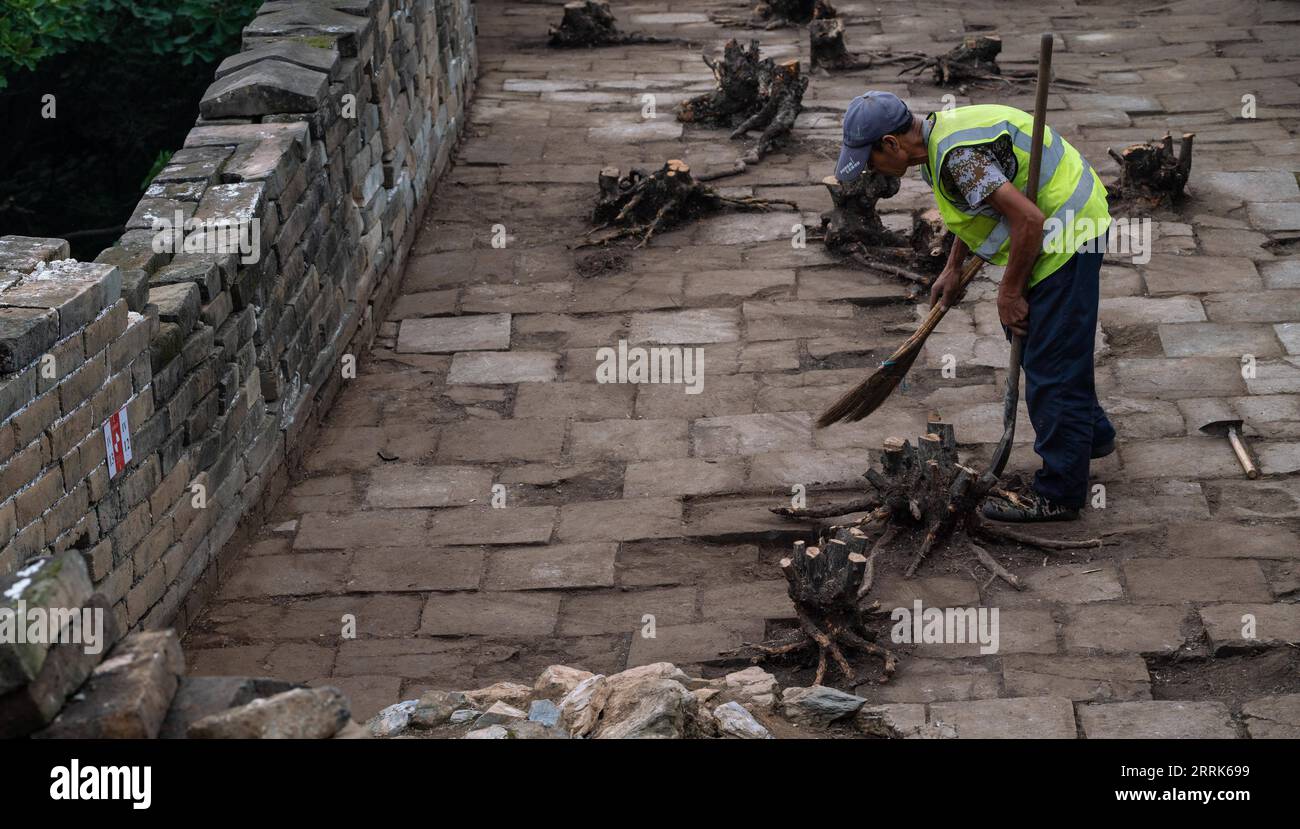 220820 -- BEIJING, 20 août 2022 -- Un ouvrier nettoie la Grande Muraille où certaines racines d'arbres coupées après des dommages naturels sont intentionnellement laissées pour d'autres recherches biologiques dans la section Jiankou de la Grande Muraille à Beijing, capitale de la Chine, le 17 août 2022. Situé dans la banlieue de Pékin, le quartier Huairou, la section Jiankou de la Grande Muraille, autrefois connue parmi les randonneurs comme la Grande Muraille déserte, est considérée comme l'une des parties les plus dangereuses de la relique. Un projet de restauration, principalement axé sur un mur de 1 678 mètres de long avec 8 tours de guet dans la partie ouest de la section Jiankou, est attendu Banque D'Images