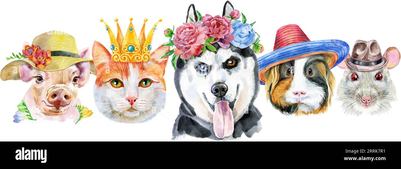 Bordure pour animaux de compagnie. Dessin aquarelle peint à la main, isoler clip art sur fond blanc. Conception de bannière Banque D'Images