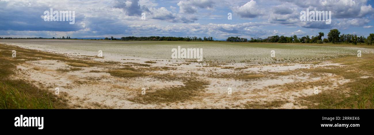 Les marais salants - vue panoramique sur le lac sec près du lac Neusiedler dans le parc national Neusiedler See - Seewinkel, Autriche - Hongrie. Banque D'Images