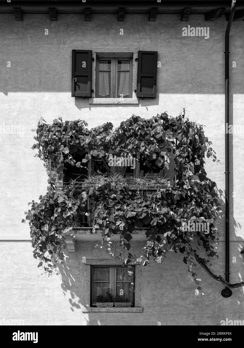 Malcesine, sur la rive est du lac de Garde. Banque D'Images