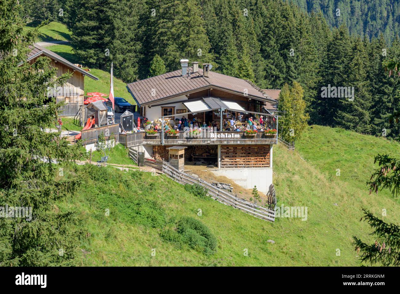 Autriche, Tyrol, Zillertal, le Bichlalm près de Hintertux. Banque D'Images