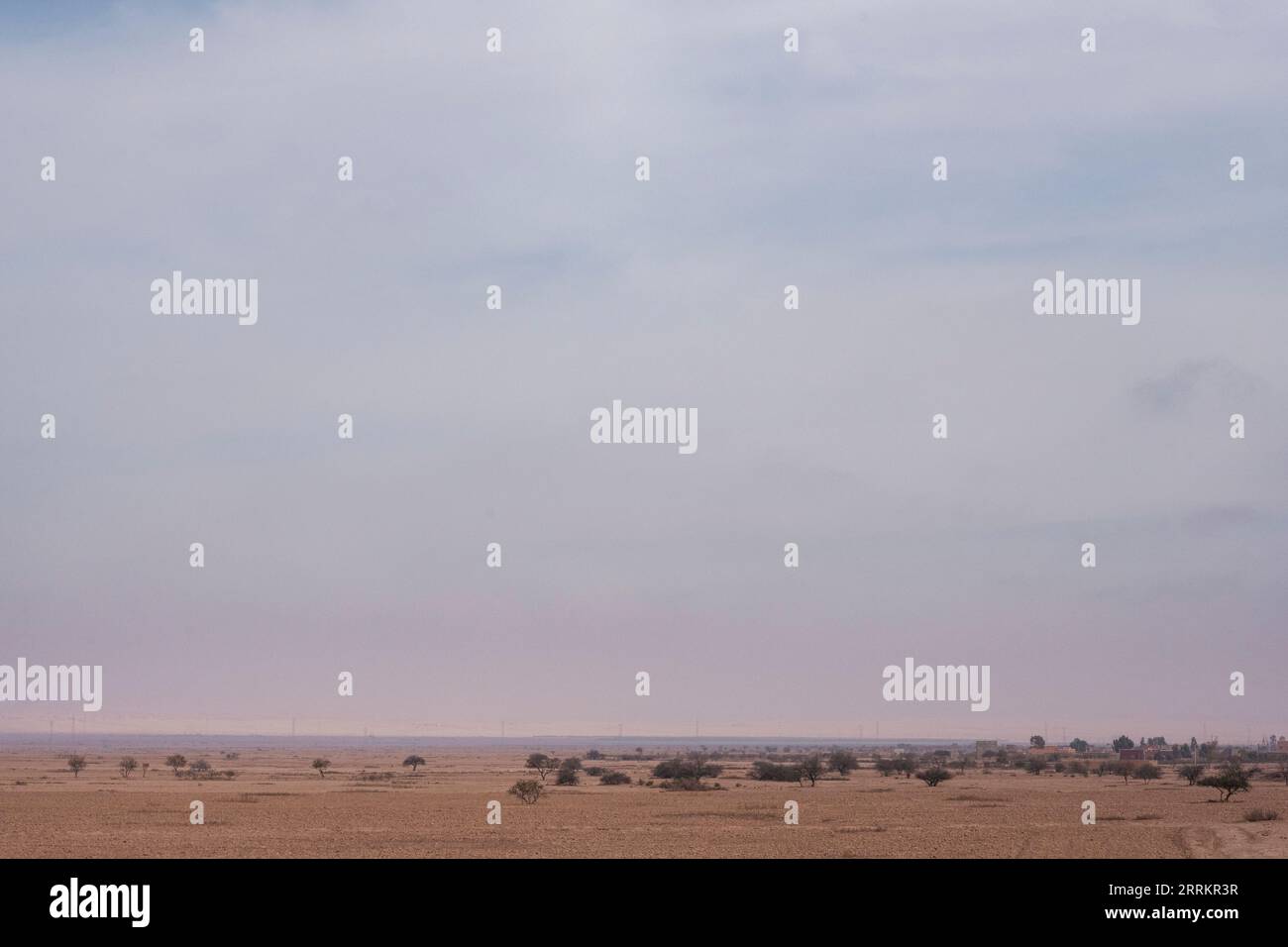 Maroc, paysage entre Agadir et Marrakech Banque D'Images