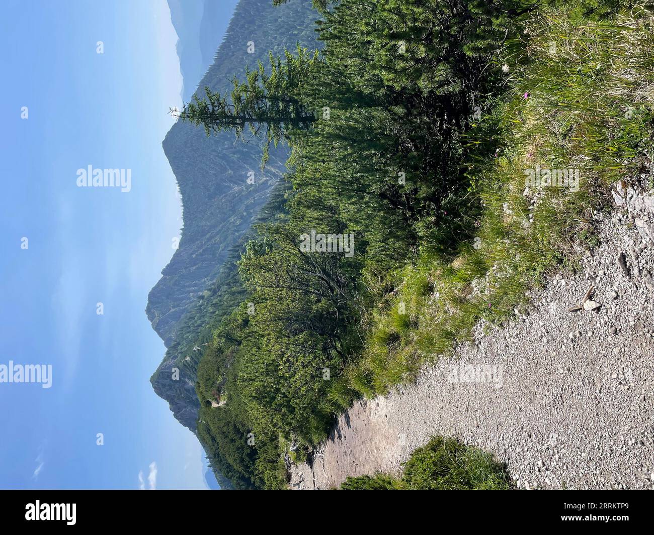 Sentier de randonnée, sentier à Heimgarten avec vue sur Herzogstand, Préalpes bavaroises, Estergebirge, Walchensee, été, soleil, montagnes, nature, activité, Kochel am See, haute-Bavière, Allemagne, photographie sur smartphone Banque D'Images