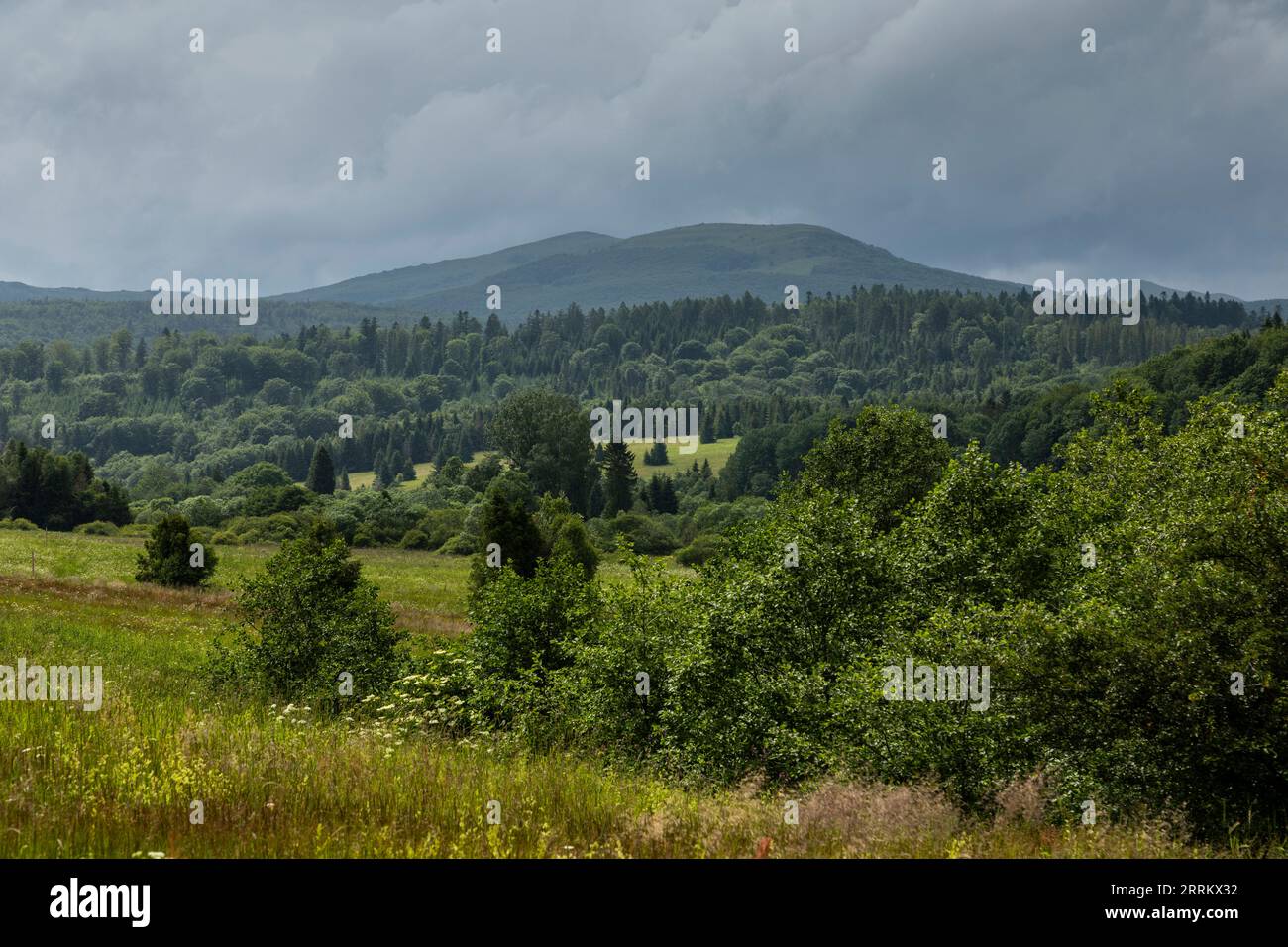 Europe, Pologne, voïvodie de Podkarpackie, montagnes de Bieszczady, ancien village Bukowiec Banque D'Images