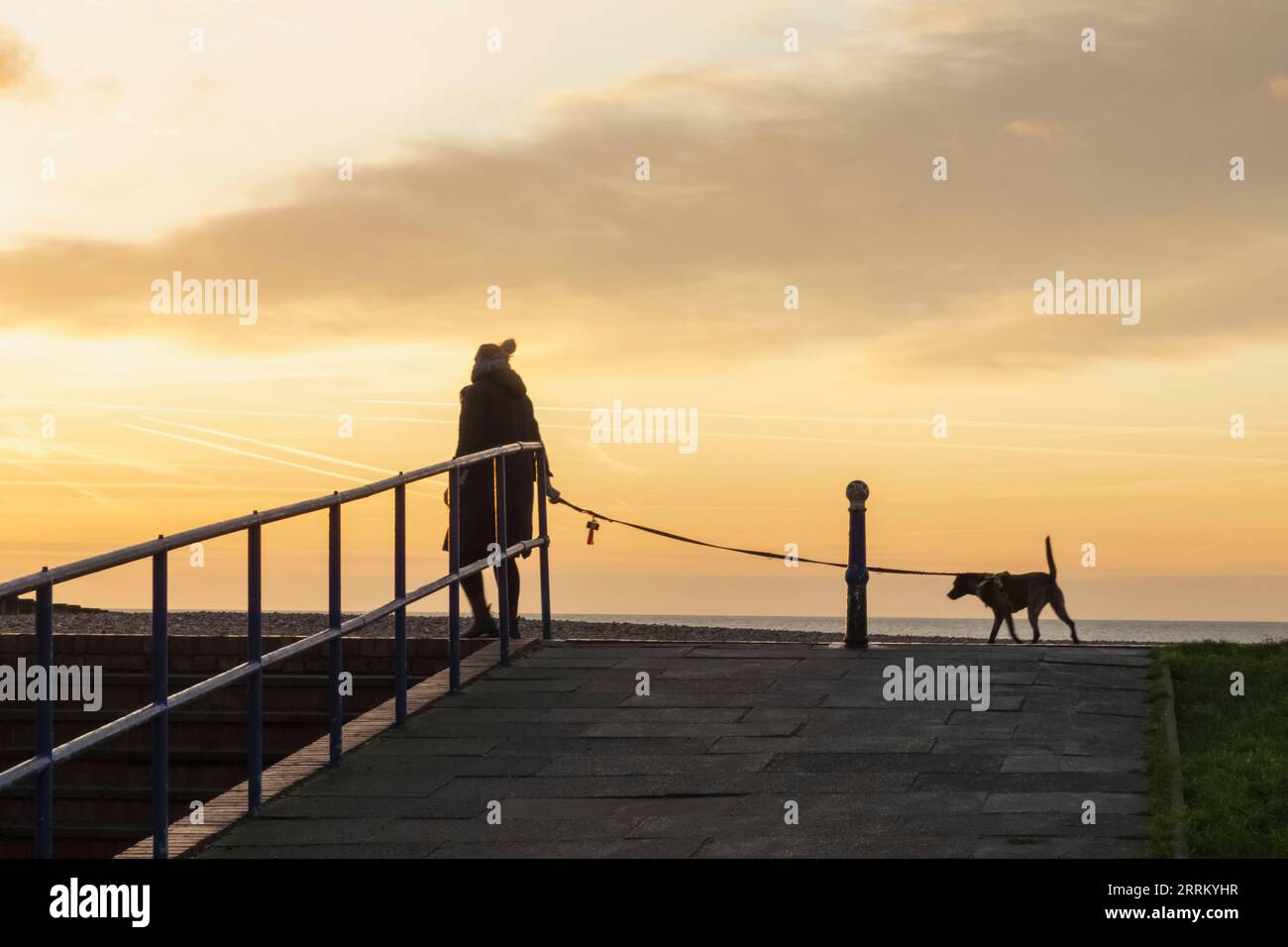 Angleterre, Sussex, East Sussex, Eastbourne, Femme marchant chien sur la plage à Dawn Banque D'Images