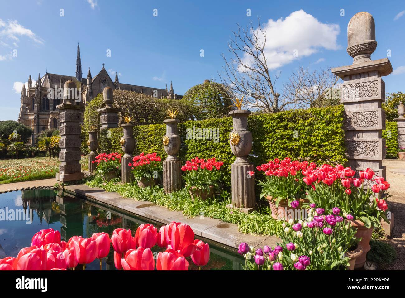 Angleterre, Sussex, West Sussex, Arundel, Château d'Arundel, Les jardins, l'eau et les fontaines avec des tulipes dans Bloom Banque D'Images