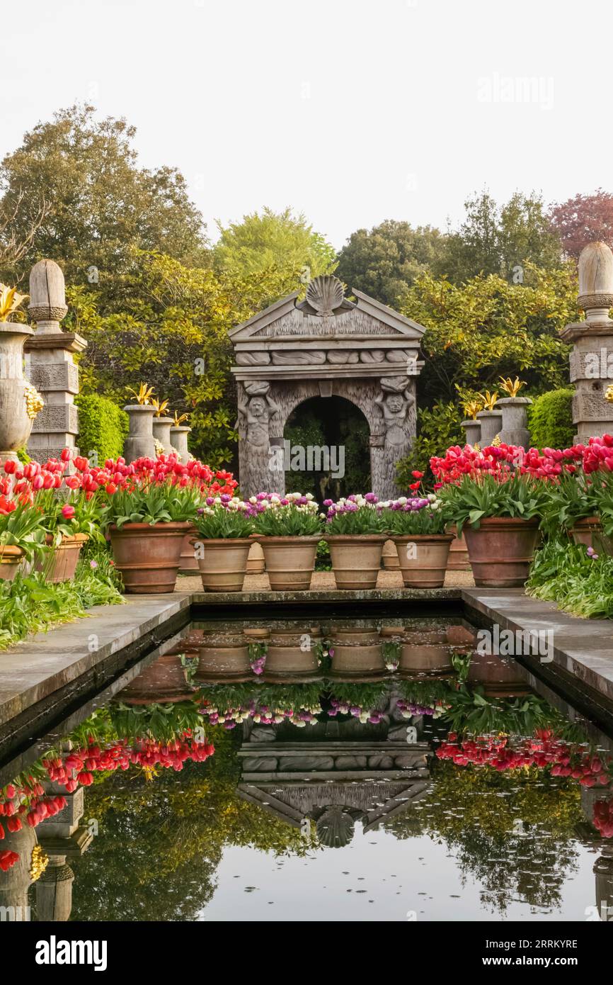 Angleterre, Sussex, West Sussex, Arundel, Château d'Arundel, Les jardins, l'eau et les fontaines avec des tulipes dans Bloom Banque D'Images