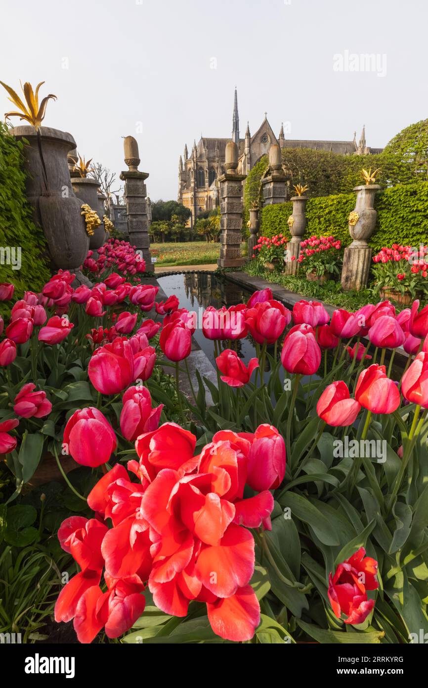 Angleterre, Sussex, West Sussex, Arundel, Château d'Arundel, Les jardins, l'eau et les fontaines avec des tulipes dans Bloom Banque D'Images