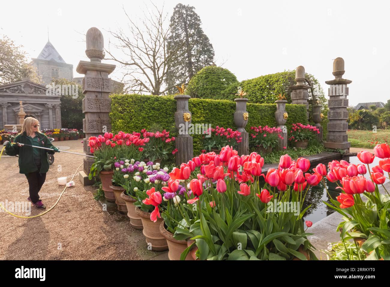 Angleterre, Sussex, West Sussex, Arundel, Château d'Arundel, Les jardins, plantes d'arrosage de jardinier féminin Banque D'Images