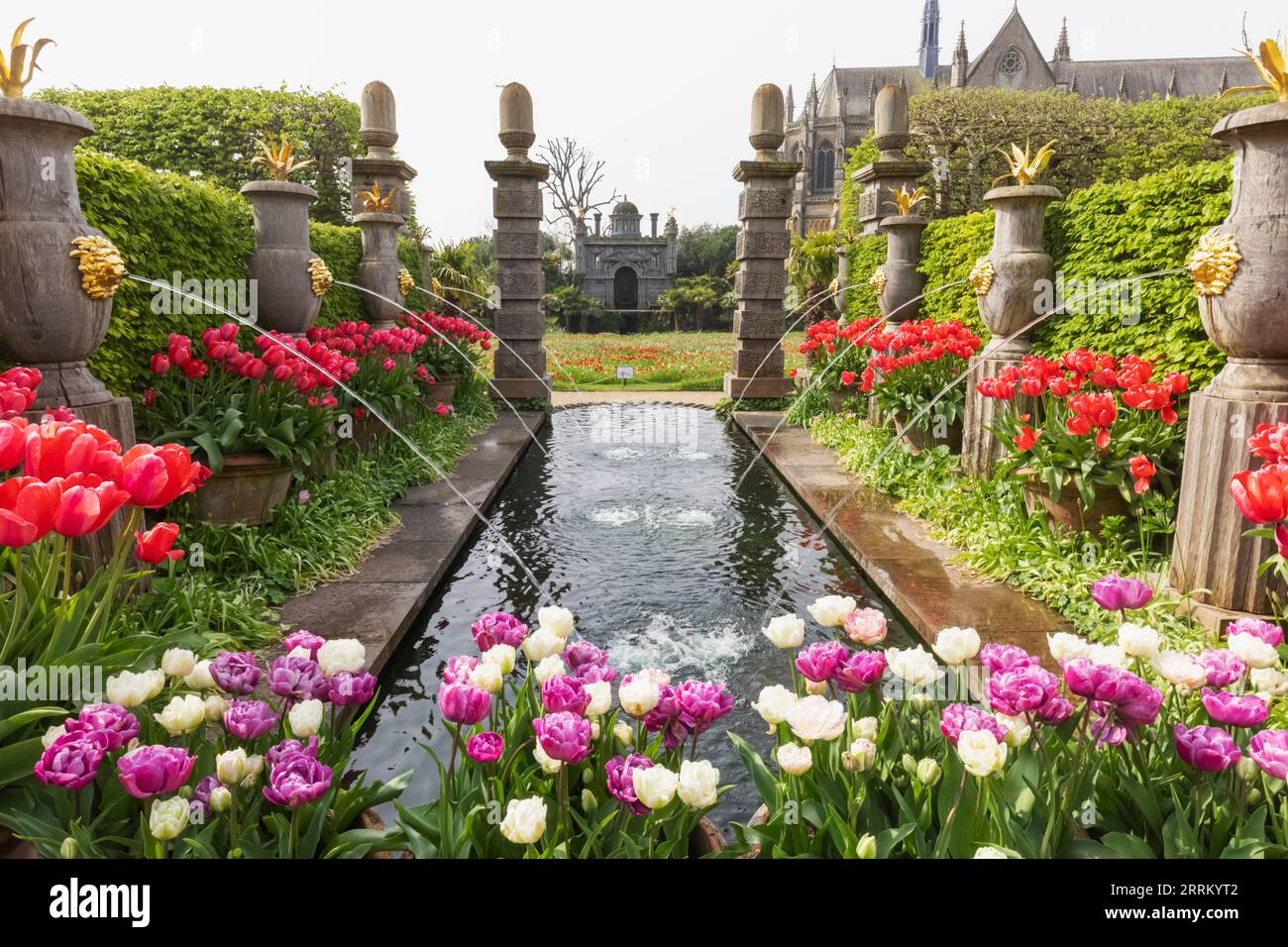 Angleterre, Sussex, West Sussex, Arundel, Château d'Arundel, Les jardins, l'eau et les fontaines avec des tulipes dans Bloom Banque D'Images